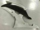 Blanc Carénage Moto Yamaha R6 2008-2016 Blanc Carénage Moto Yamaha R6 2008-2016