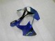 Bleu Carénages Moto Kawasaki ZX6R 2000-2002 Bleu Carénages Moto Kawasaki ZX6R 2000-2002