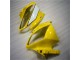 Jaune Blanc Noir Carénage Moto Yamaha R6 2006-2007 Jaune Blanc Noir Carénage Moto Yamaha R6 2006-2007