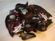 Noir Rouge Flamme Carénage Moto Suzuki GSXR 1300 Hayabusa 1996-2007 Noir Rouge Flamme Carénage Moto Suzuki GSXR 1300 Hayabusa 1996-2007