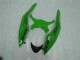 Noir Vert Carénage Moto Kawasaki ZX6R 2009-2012