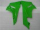 Noir Vert Carrosserie Moto Kawasaki ZX6R 2009-2012 Noir Vert Carrosserie Moto Kawasaki ZX6R 2009-2012