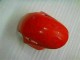 Rouge Argent Carénage Moto Honda CBR 1000 RR 2008-2011 Rouge Argent Carénage Moto Honda CBR 1000 RR 2008-2011