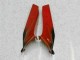 Rouge Carénages Moto Honda CBR 600 RR 2005-2006 Rouge Carénages Moto Honda CBR 600 RR 2005-2006