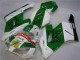 Vert Blanc Carénage Moto Honda CBR 1000 RR 2004-2005 Vert Blanc Carénage Moto Honda CBR 1000 RR 2004-2005