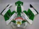 Vert Blanc Carénage Moto Honda CBR 1000 RR 2004-2005 Vert Blanc Carénage Moto Honda CBR 1000 RR 2004-2005