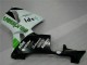 Vert Carénage Moto Honda CBR 600 RR 2005-2006 Vert Carénage Moto Honda CBR 600 RR 2005-2006