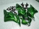 Vert Carénage Moto Honda CBR 600 RR 2009-2012 Vert Carénage Moto Honda CBR 600 RR 2009-2012