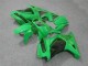 Vert Carénage Moto Kawasaki EX250 2008-2012 Vert Carénage Moto Kawasaki EX250 2008-2012
