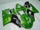 Vert Carénage Moto Yamaha R1 2000-2001 Vert Carénage Moto Yamaha R1 2000-2001