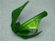 Vert Carénage Moto Yamaha R1 2000-2001 Vert Carénage Moto Yamaha R1 2000-2001
