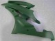 Vert Carénage Moto Yamaha R6 2006-2007 Vert Carénage Moto Yamaha R6 2006-2007