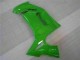 Vert Carénages Moto Kawasaki EX650 2006-2008 Vert Carénages Moto Kawasaki EX650 2006-2008