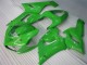 Vert Carénages Moto Kawasaki ZX6R 2005-2006 Vert Carénages Moto Kawasaki ZX6R 2005-2006