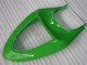 Vert Carénages Moto Kawasaki ZX6R 2005-2006 Vert Carénages Moto Kawasaki ZX6R 2005-2006