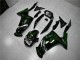 Vert Flamme Carénage Moto Kawasaki EX650 2006-2008 Vert Flamme Carénage Moto Kawasaki EX650 2006-2008