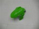 Vert Noir Argent Carénage Moto Kawasaki EX300 2013-2016 Vert Noir Argent Carénage Moto Kawasaki EX300 2013-2016