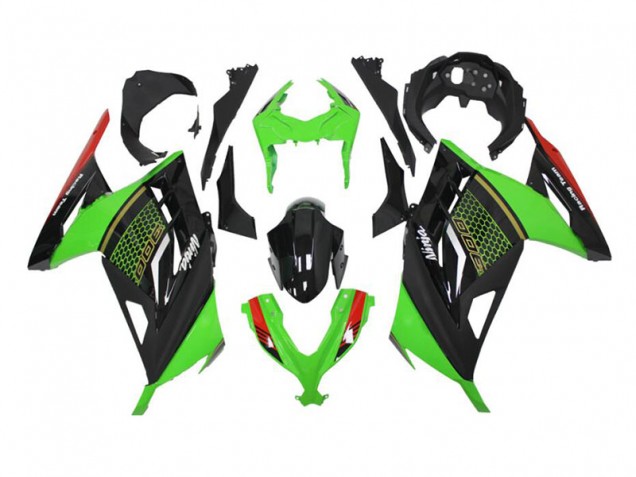 Vert Noir Carénage Moto Kawasaki EX300 2013-2016