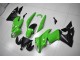 Vert Noir Carénage Moto Kawasaki EX650 2009-2011