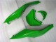Vert Noir Carénage Moto Kawasaki ZX10R 2008-2010 Vert Noir Carénage Moto Kawasaki ZX10R 2008-2010