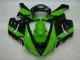 Vert Noir Carénage Moto Kawasaki ZX6R 2005-2006 Vert Noir Carénage Moto Kawasaki ZX6R 2005-2006