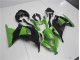 Vert Noir Carénages Moto Kawasaki EX300 2013-2016 Vert Noir Carénages Moto Kawasaki EX300 2013-2016