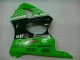 Vert Noir Carénages Moto Kawasaki ZX6R 2000-2002 Vert Noir Carénages Moto Kawasaki ZX6R 2000-2002