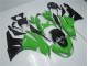 Vert Noir Carrosserie Moto Kawasaki ZX6R 2009-2012 Vert Noir Carrosserie Moto Kawasaki ZX6R 2009-2012