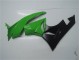 Vert Noir Carrosserie Moto Kawasaki ZX6R 2009-2012 Vert Noir Carrosserie Moto Kawasaki ZX6R 2009-2012