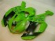 Vert Noir Dunlop Carénage Moto Kawasaki ZX6R 2007-2008 Vert Noir Dunlop Carénage Moto Kawasaki ZX6R 2007-2008